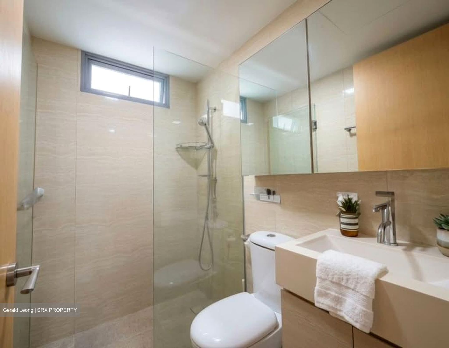 A Treasure Trove (D19), Condominium #540209881